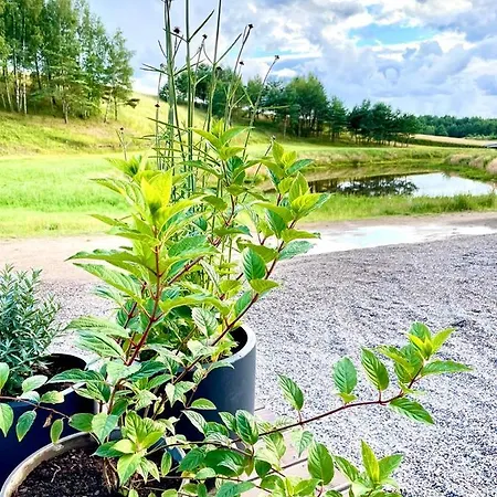 בית נופש Na Kaszubach - Golubie - Sikorska Dolina Ii