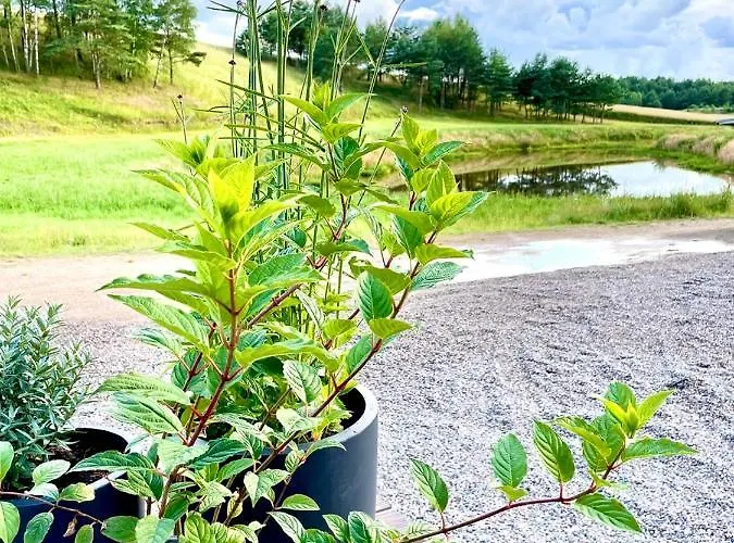 別荘 Na Kaszubach - Golubie - Sikorska Dolina Ii